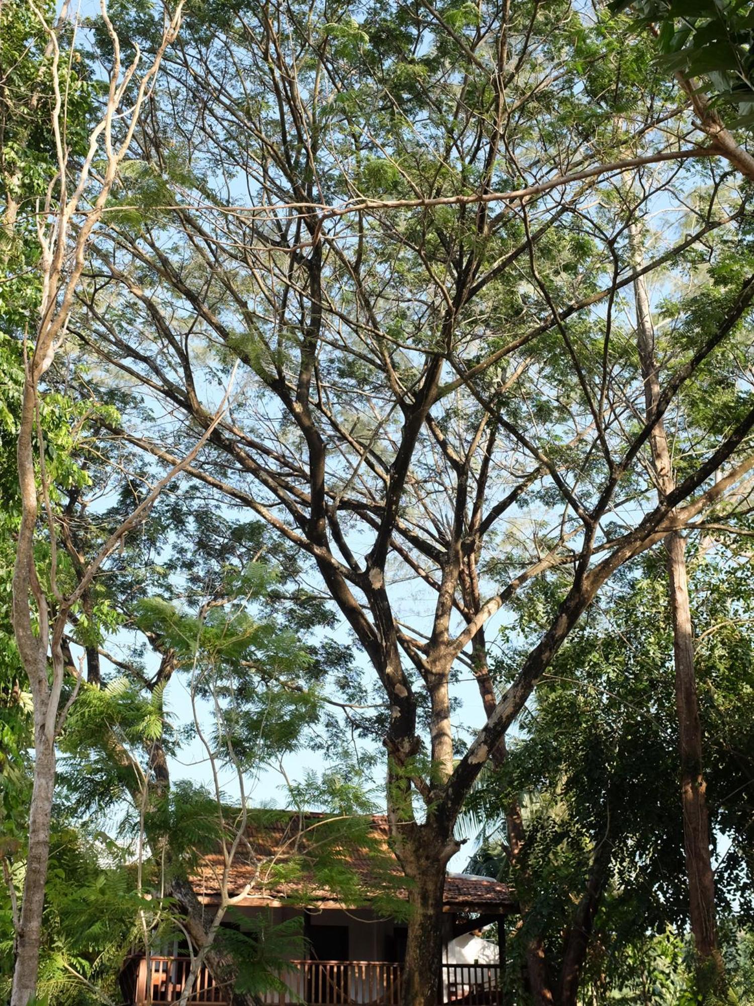 Rumah Jah Langkawi Pantai Cenang  Exterior photo